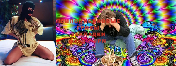 круглые Алексеевка