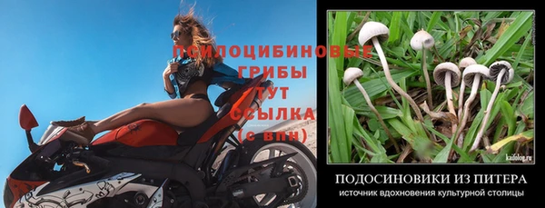 таблы Алзамай