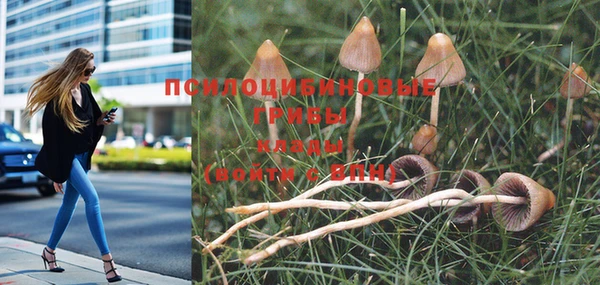 круглые Алексеевка