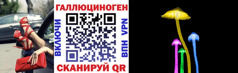 OMG   Керчь  Галлюциногенные грибы ЛСД 